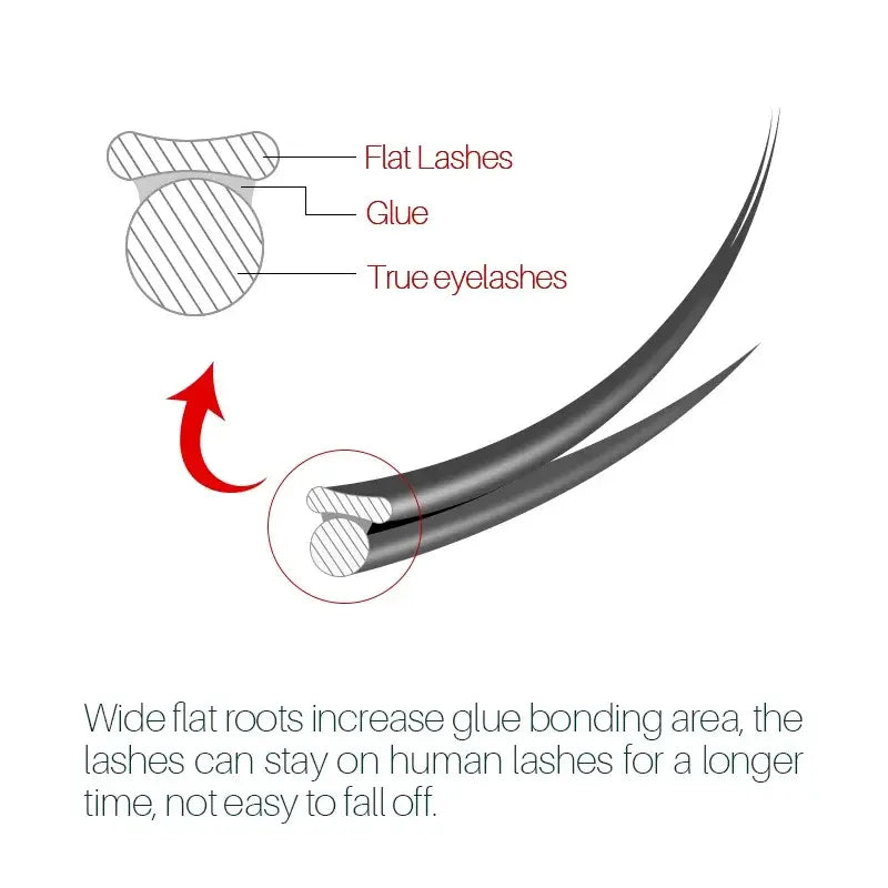 Diagram of false eyelashes with labeled parts and text on a white background